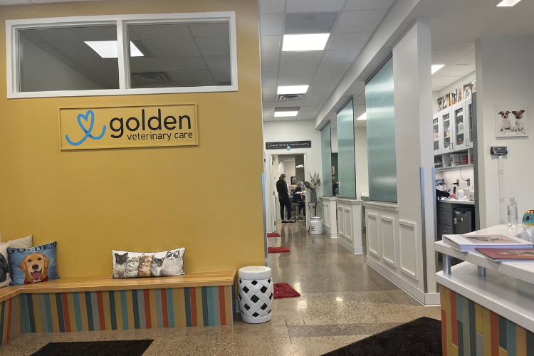 golden-vet-entryway-overview.png golden-vet-entryway-overview.png