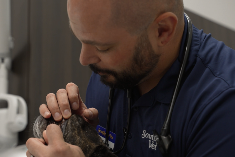 dr-yonas-doing-dental-exam.png dr-yonas-doing-dental-exam.png
