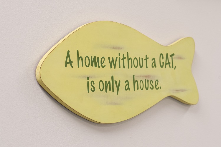 cat-sign-for-elanco-feline-blog.jpg