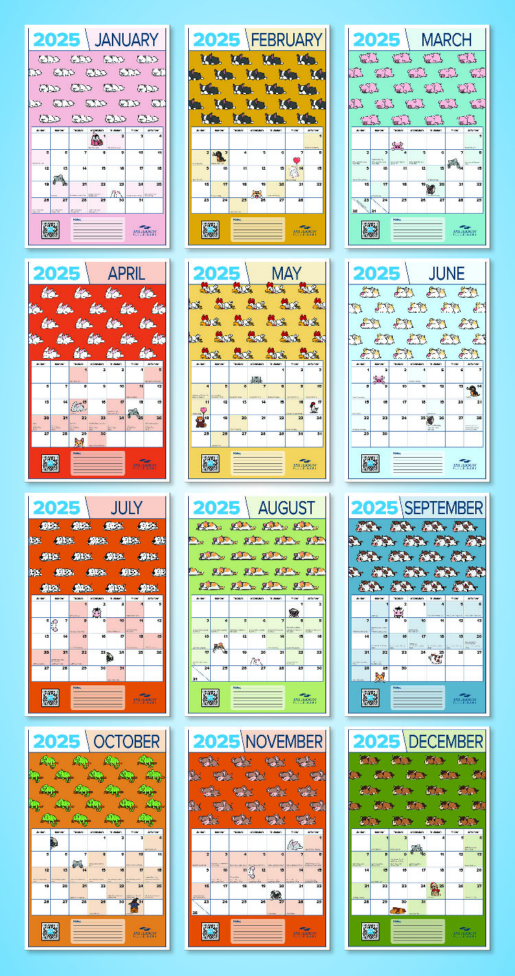 2025 Calendar All Months