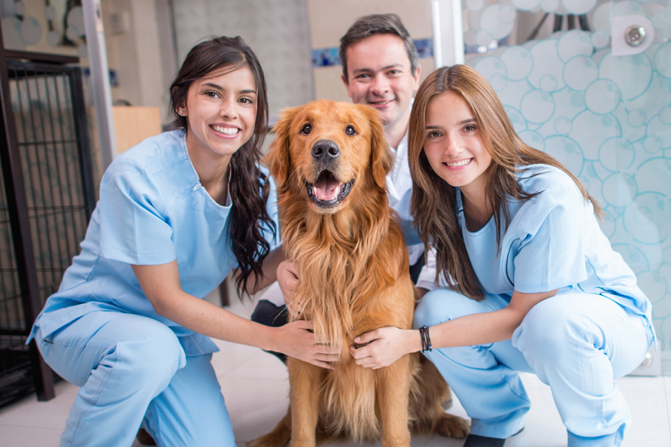 proefssionalism requires being a team player