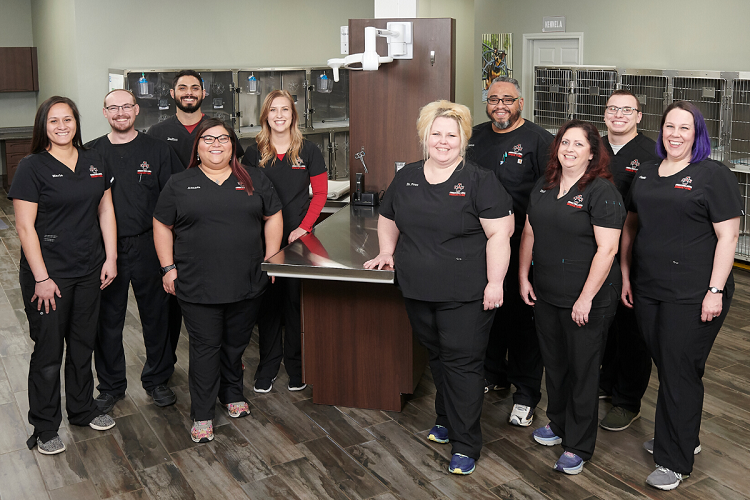 clean appearance and hygiene are part of professionalism